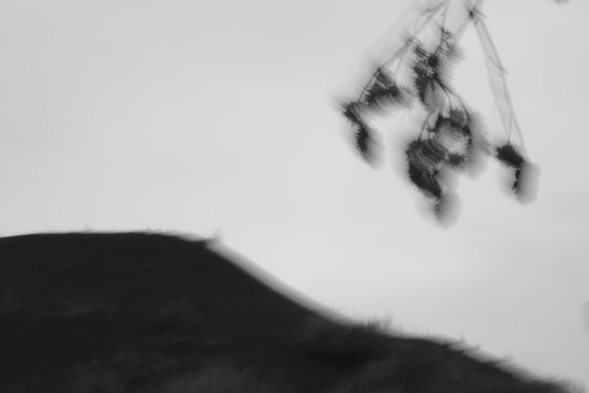 11.Cosmos-LeslieSobaga-Tellurique